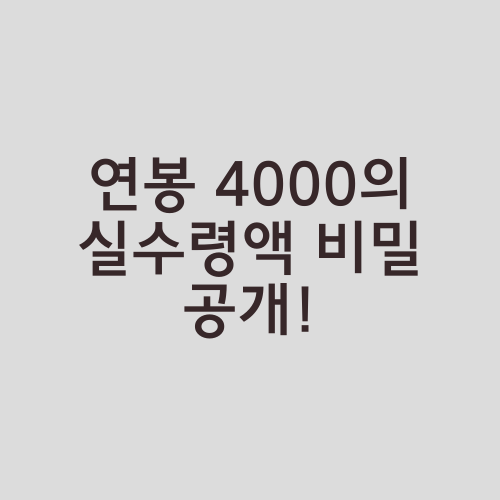 연봉 4000의 실수령액 비밀 공개!