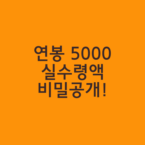 연봉 5000 실수령액 비밀공개!